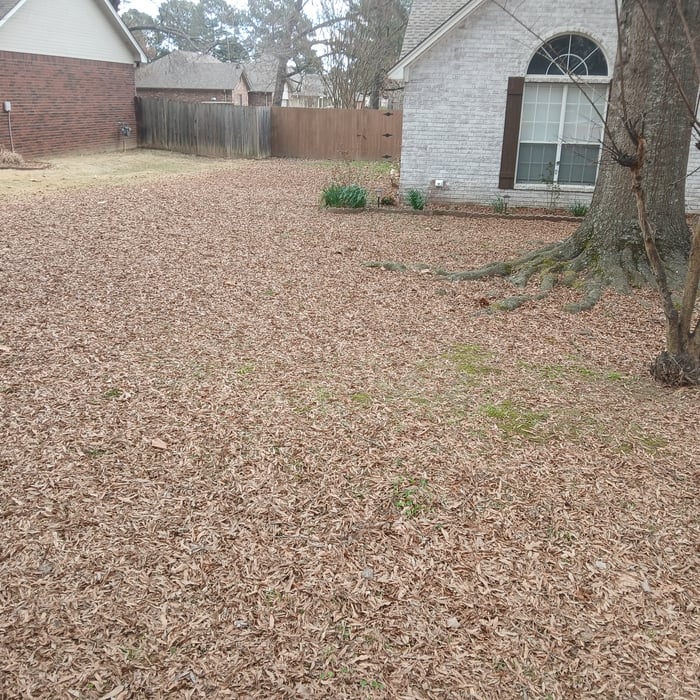 Leaf cleanup