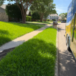 Lawncare Service