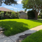 Lawncare Service