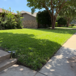 Lawncare Service