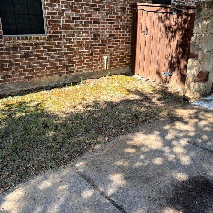 Lawncare Cleanup