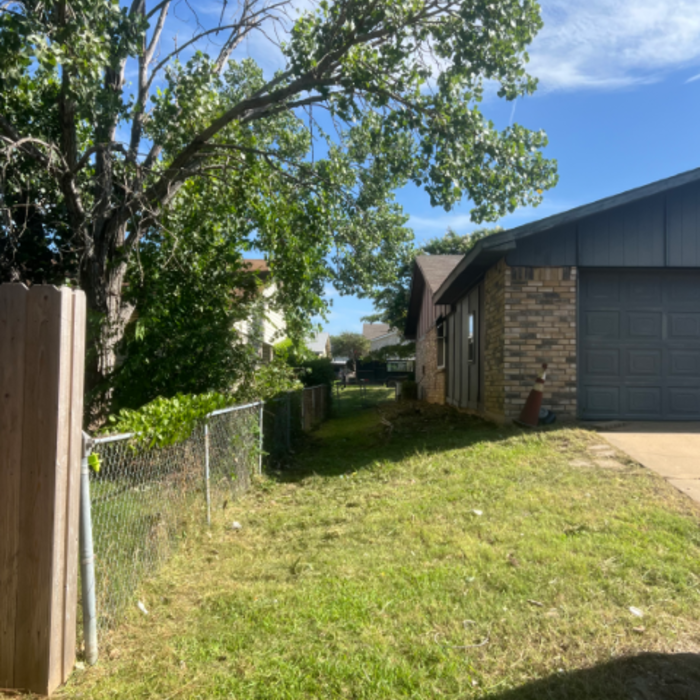 Lawn Cleanup
