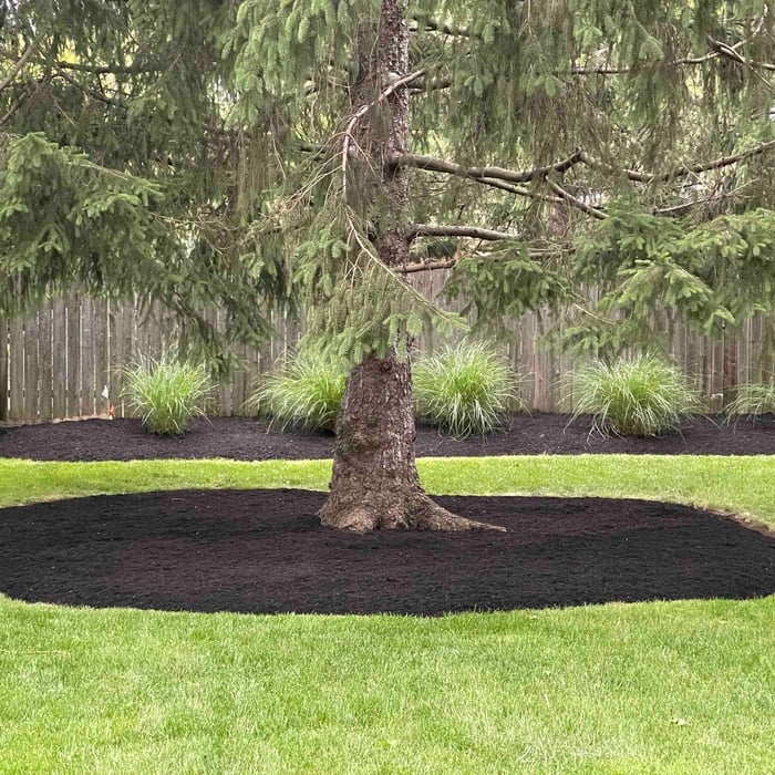 Mulch Installation