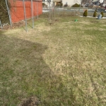 Lawn mowing