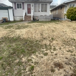 Lawn mowing