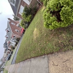 Lawn mowing