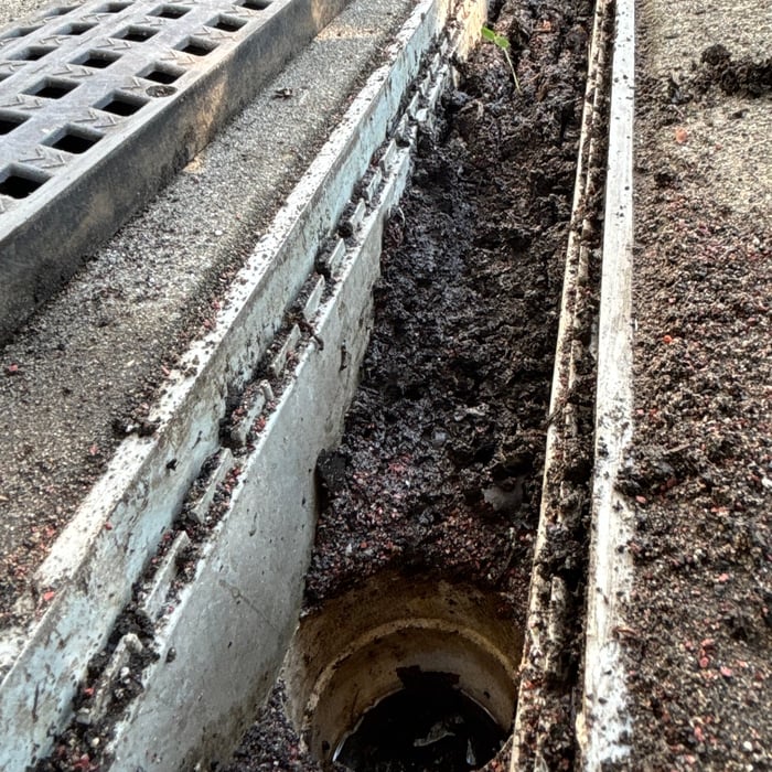 Runoff drain cleaning