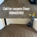 Carpet Cleaning