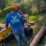 Tree Removal
