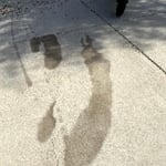 Oil stain removal