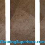 Carpet Cleaning Pet Urine Stains