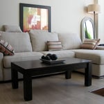 New Furniture Protector Stain Resistance