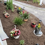 Mulch Beds