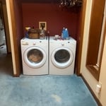 Carpet Removal