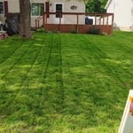 Lawn care