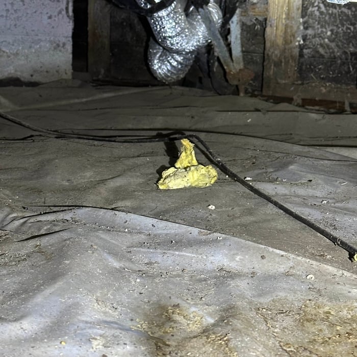 Home Inspection