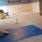 BEFORE LVP INSTALL