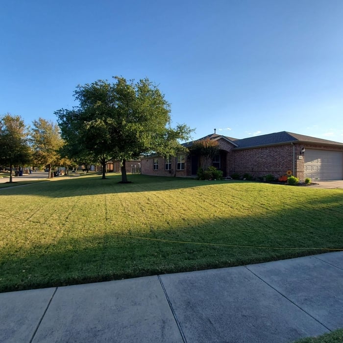 Lawn Care
