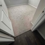Carpet cleaning
