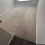 Carpet cleaning