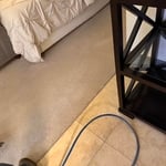 Carpet cleaning