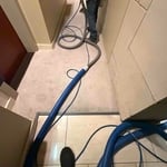 Carpet cleaning