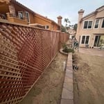 7 ft lattice