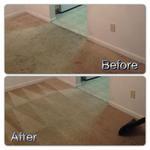 Carpet Cleaning