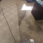 Restorative Carpet Cleaning