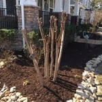 Front view flower bed with stone edging