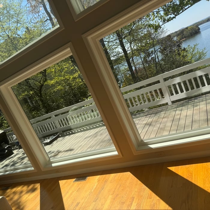 Living room windows