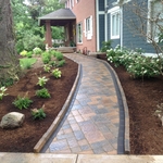 Landscape renovation