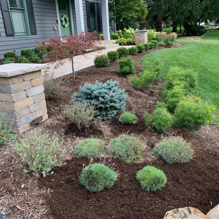 Landscape renovation