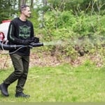 Mosquito Control