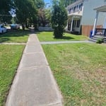 Yard Clean up