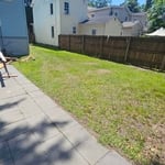 Yard Clean up