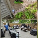 Yard Clean up