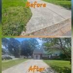 Yard clean up