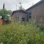 Lawn care