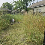 Lawn care