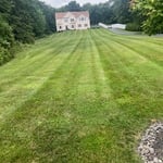 Lawns