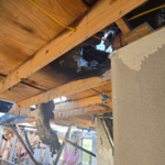 Post-Fire Structural Eval