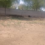 Landscaping projects