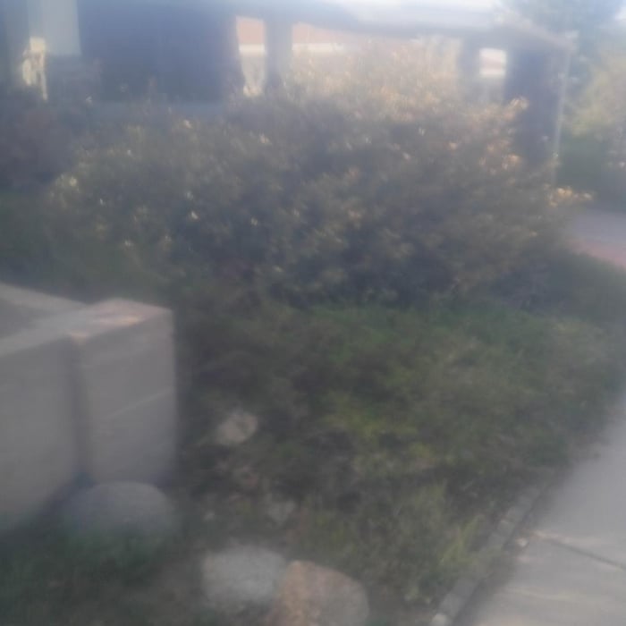 Landscaping projects