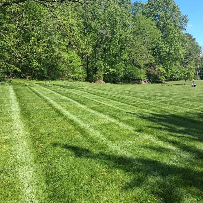 cutting service