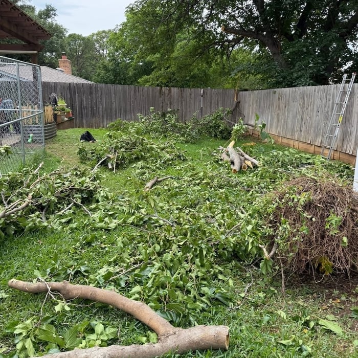Tree trimming