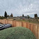 Fence