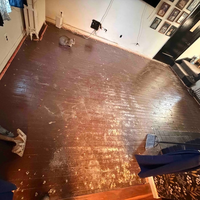 Floor