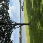 Weekly Lawn Mowing