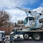 Hazard Tree Crane Removal